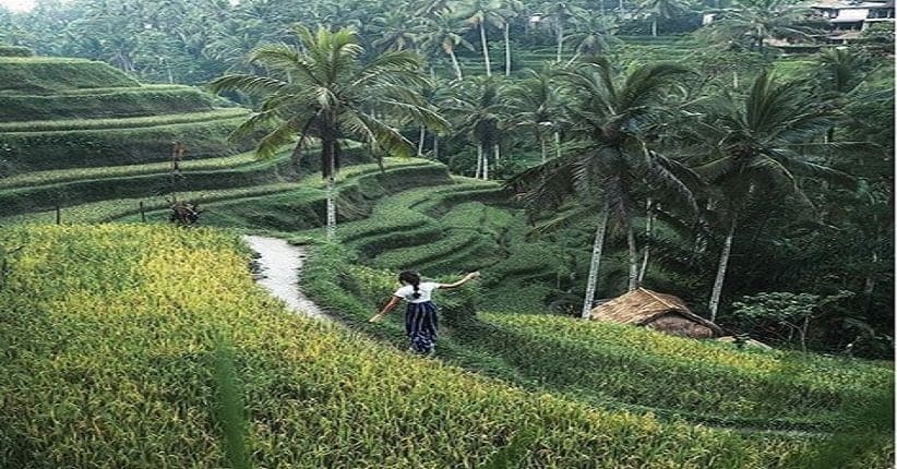 Himbauan Penghimpunan Zakat Fitrah dan Uang Fidyah Ramadhan 1447 H